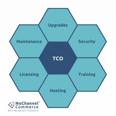 TCO includes software licensing, hosting and maintenance, payment processing, software development, data security (firewalls, SSL certificates, and cybersecurity insurance), and other expenses.